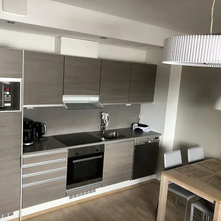 Lomahuoneisto Chalet Ruka